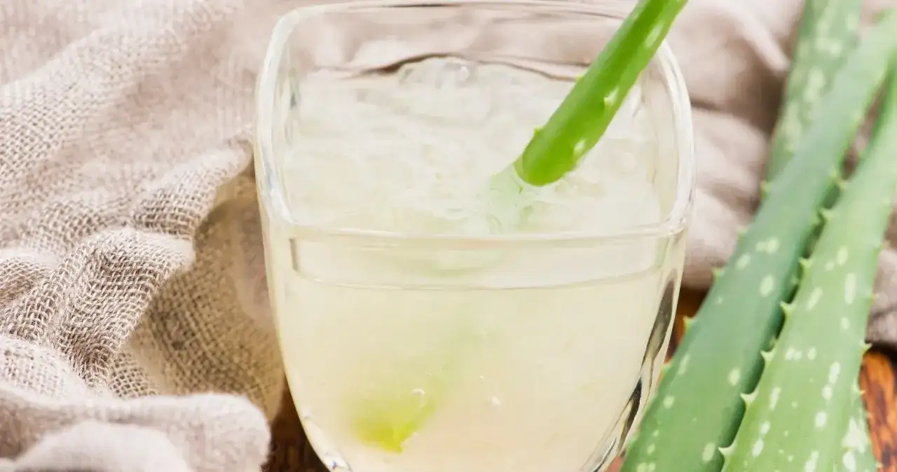 Jak napój aloesowy wspiera zdrowie i poprawia samopoczucie?