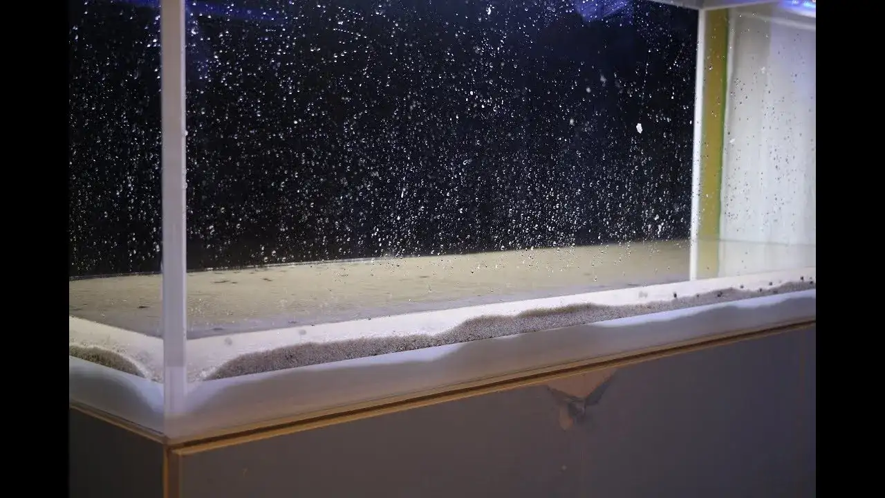 Jaka granulacja żwiru do akwarium? Uniknij błędów przy wyborze