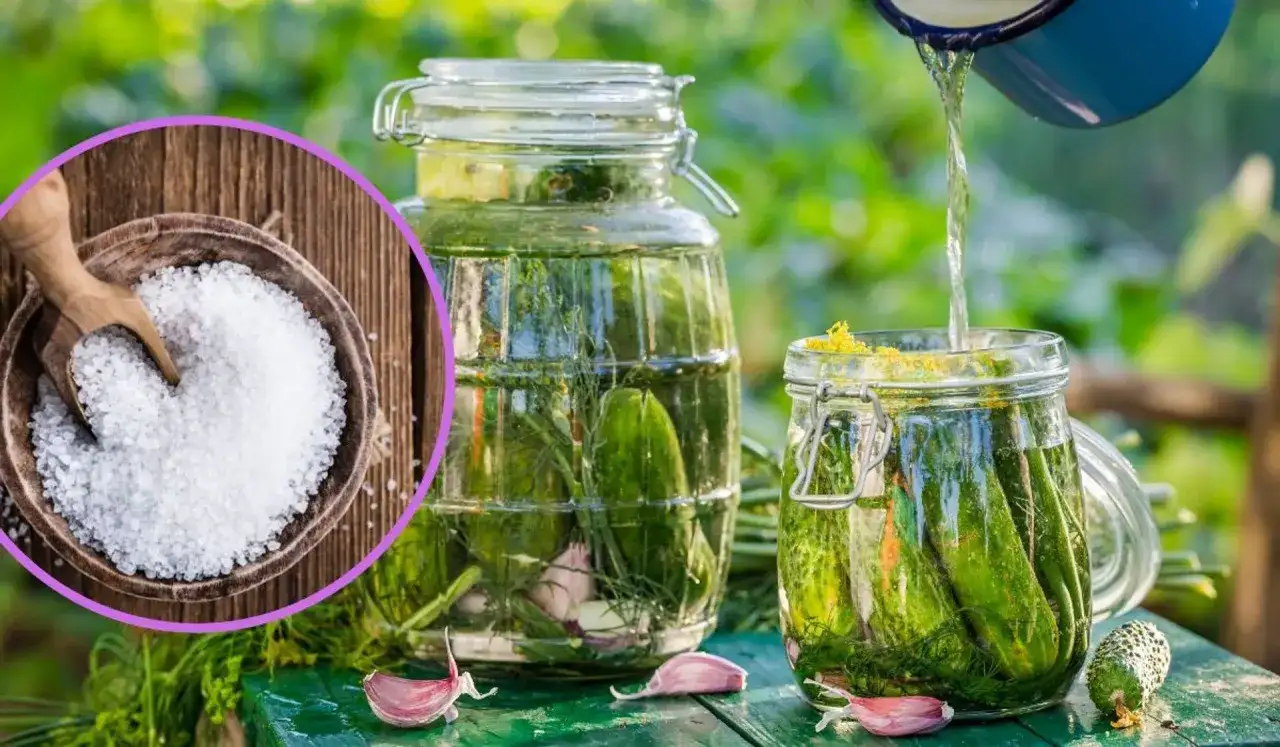 Sól morska do kiszenia ogórków? Igor Baran rozwiewa wątpliwości!