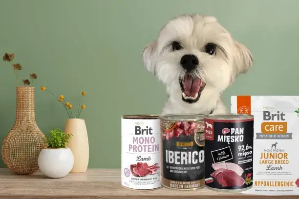 Karma dla psa alergika: Koniec z drapaniem? Sprawdź, co wybrać!