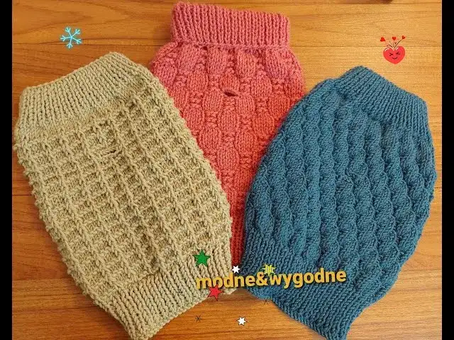 Jak zrobić sweterek dla psa na drutach? Poradnik dla początkujących!