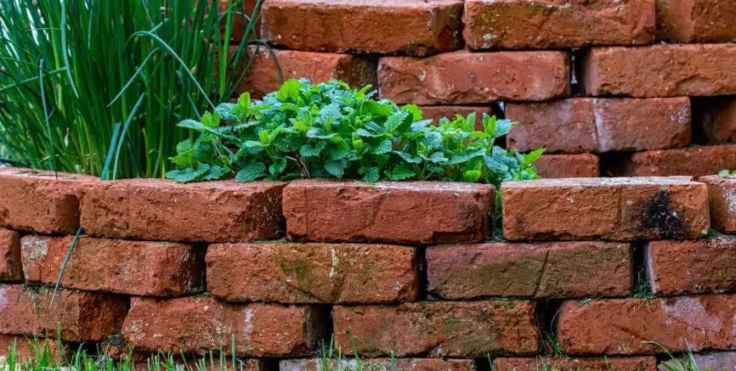 Co można zrobić z cegły w ogrodzie? Ciekawe pomysły na aranżację
