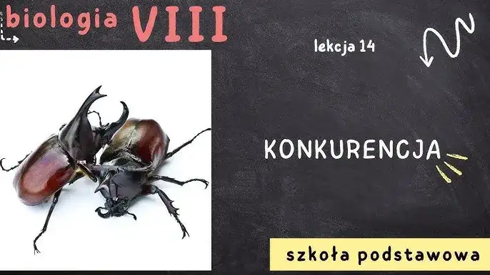 Co to jest konkurencja w biologii? Poznaj jej sekrety!