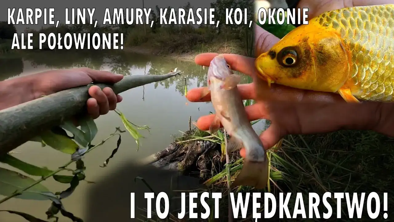 Jak zrobić wędkę z patyka? Prosty poradnik DIY na ryby