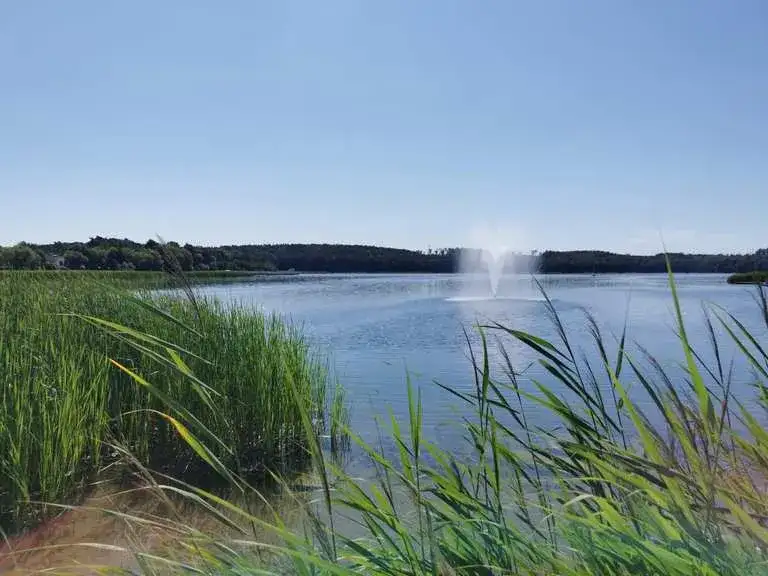 Jezioro Barlineckie: ukryte skarby, wędkarstwo i piękne szlaki