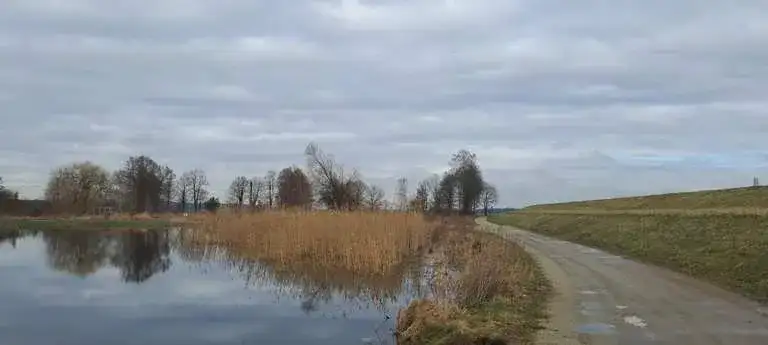 Trasa rowerowa Nowa Sól - malownicze ścieżki i atrakcje do odkrycia