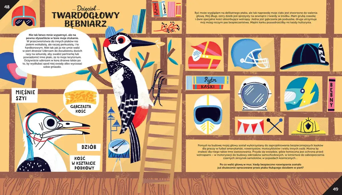 Fizyka: Ewolucja myśli, nie dzieło wynalazcy. Poznaj historię.