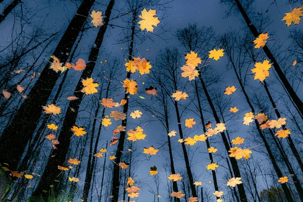 Co to jest fotograf? Poznaj tajniki zawodu i umiejętności fotografa