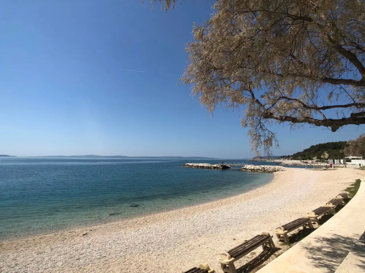 Kamienista plaża z ławkami i drzewem na tle błękitnego morza i nieba.