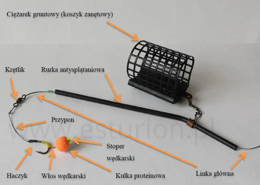 Pierwszy zestaw wędkarski: jak skompletować i zacząć łowić?