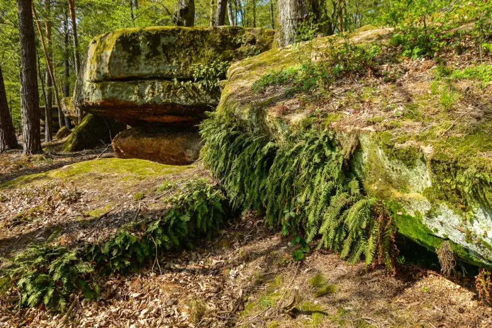 Rezerwaty Piekiełko: Które wybrać? Przewodnik po 3 miejscach