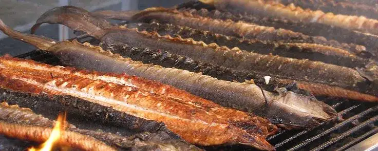 Najlepsze przepisy na węgorz z grilla, które zachwycą Twoje kubki smakowe