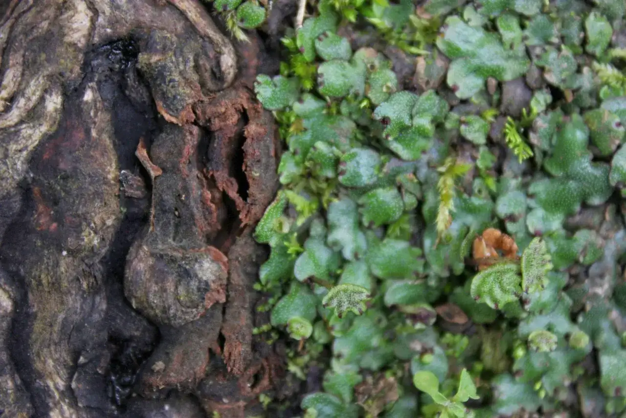 Faktura w malarstwie: jak tekstura wpływa na emocje i odbiór dzieła