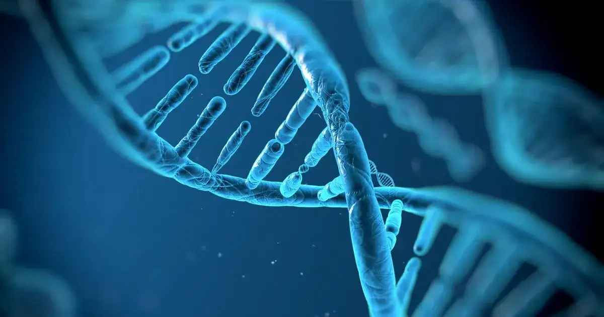 Biologia: Czym jest genetyka i dlaczego ma znaczenie dla życia?