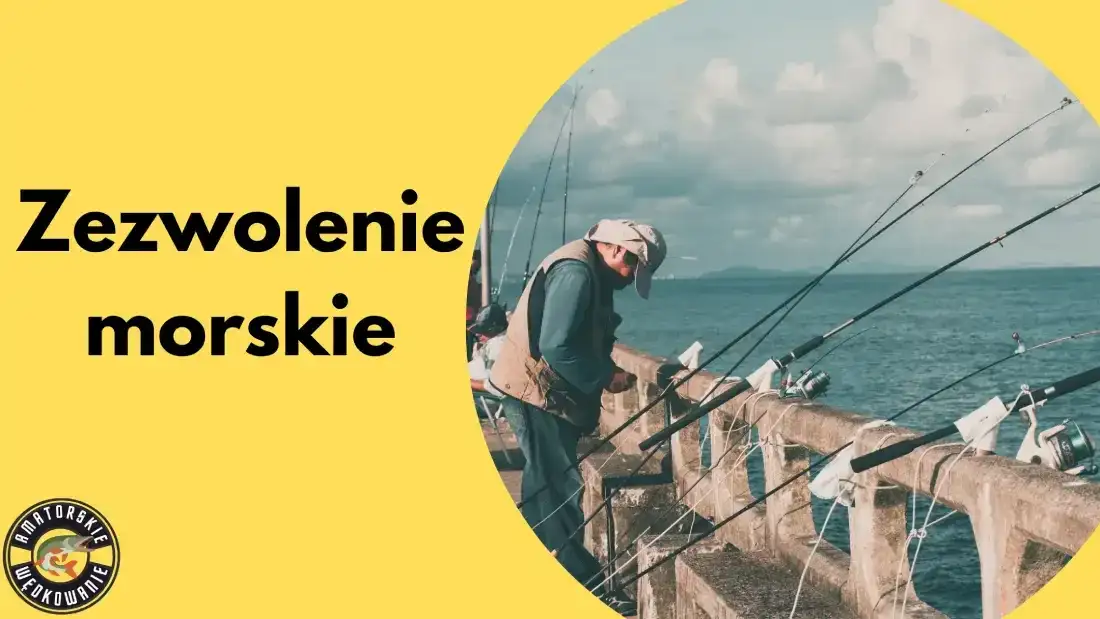 Jak legalnie wędkować na Jeziorze Żywieckim? Ceny i zasady 2026