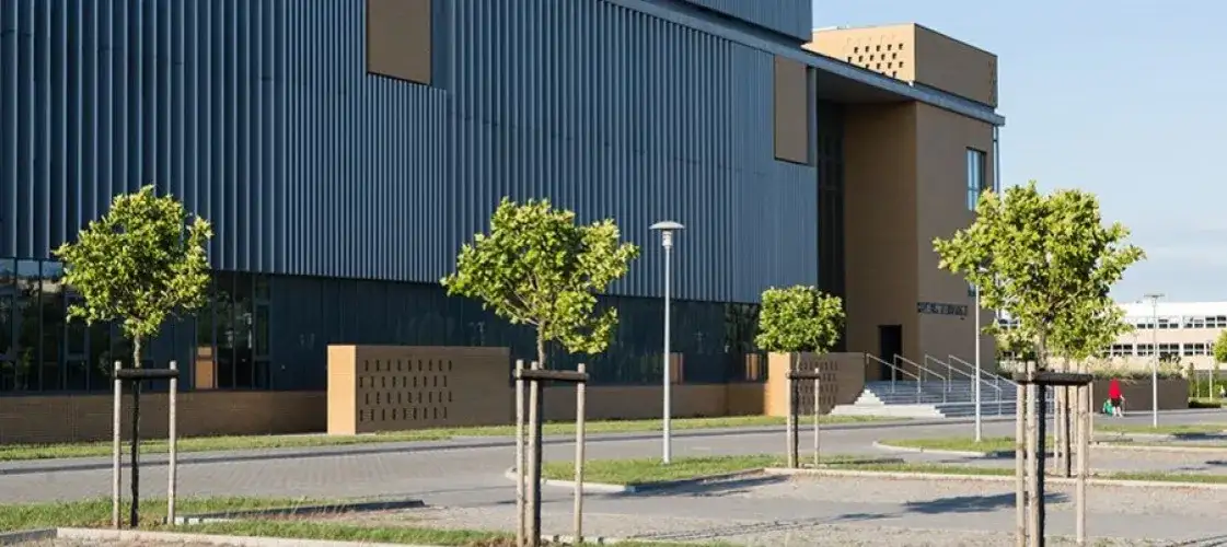 Uniwersytet im Adama Mickiewicza w Poznaniu - kluczowe informacje o studiach