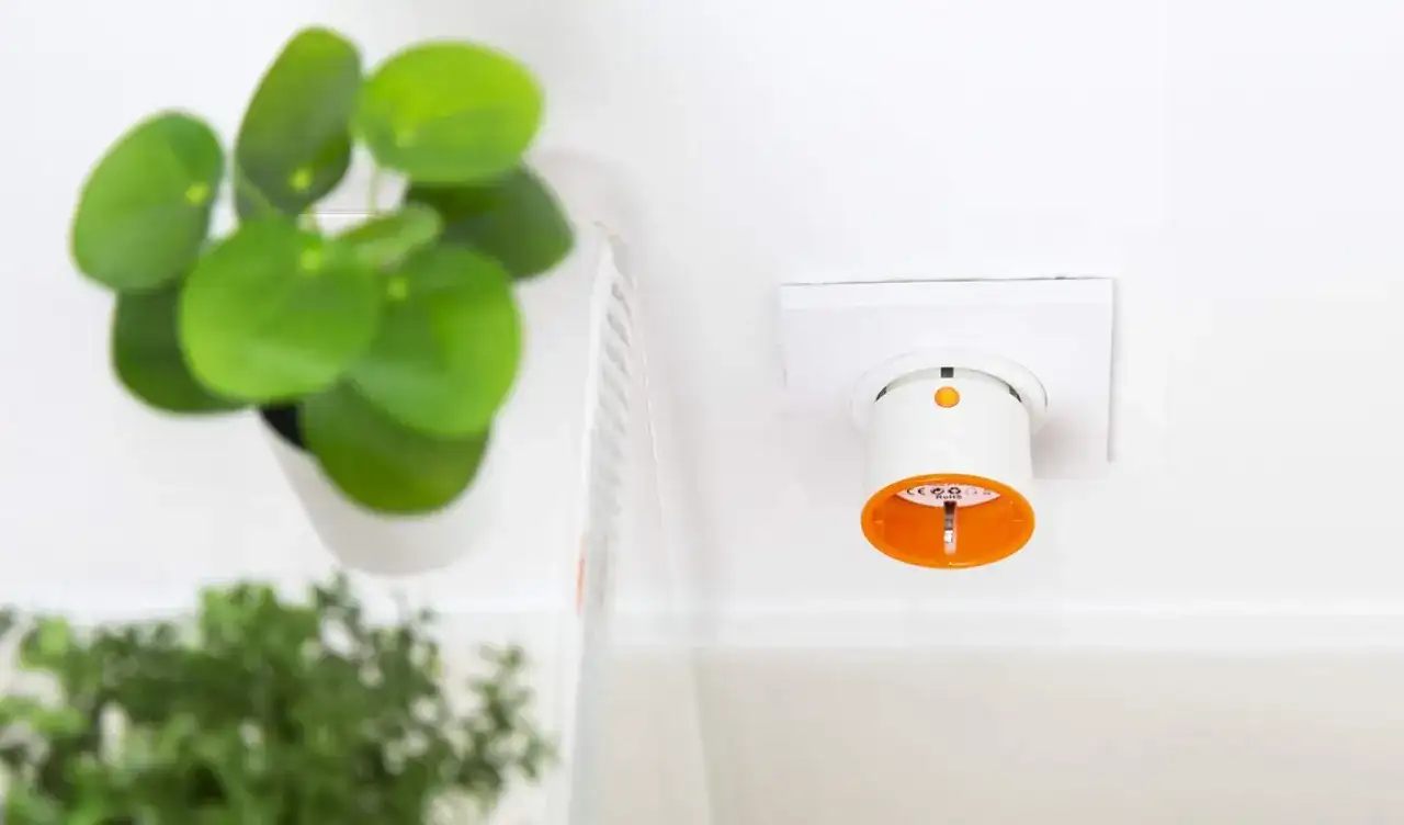 Inteligentne gniazdko w ścianie, idealne do rozpoczęcia przygody ze smart home. Obok zielone rośliny.