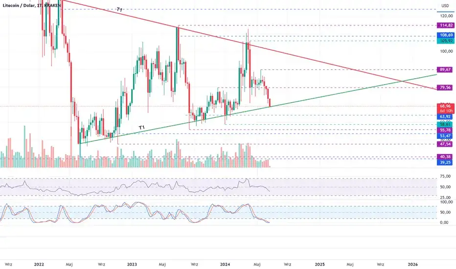 Kurs Litecoina: Aktualny kurs Litecoin i prognozy kryptowaluty