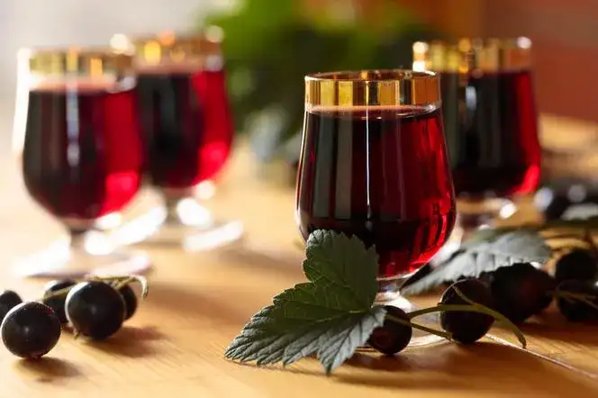 Jak zrobić nalewkę z rokitnika - prosta receptura na wyjątkowy smak