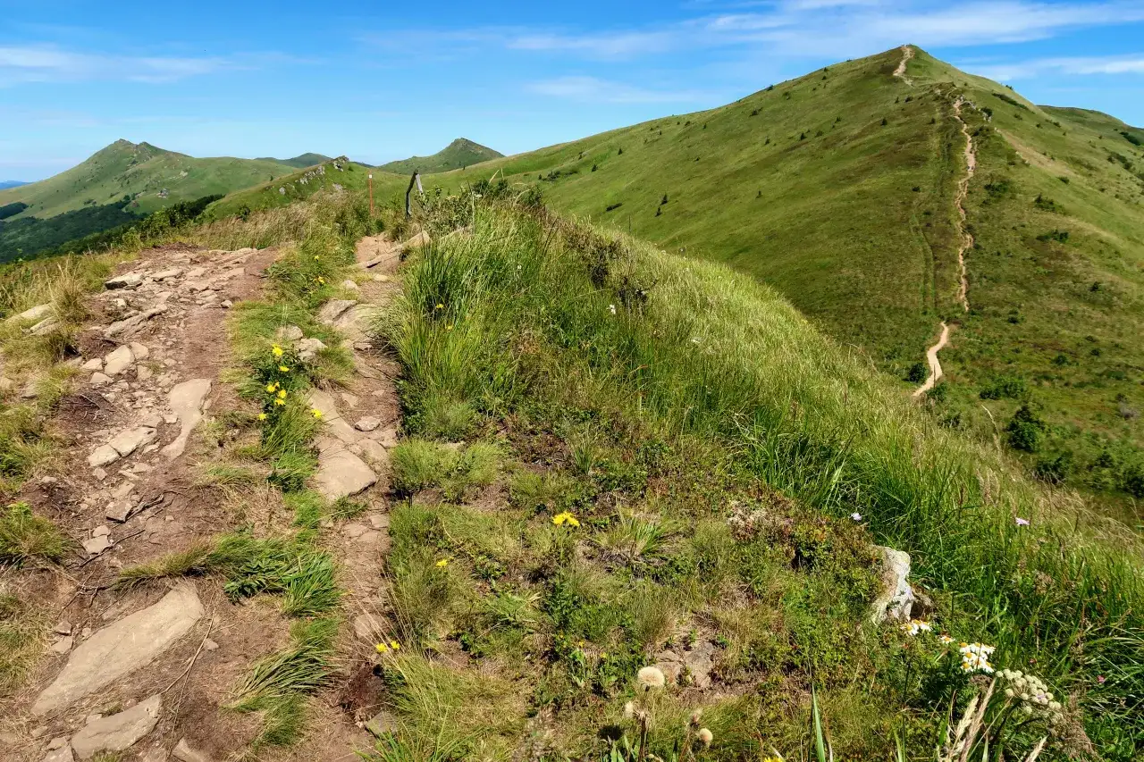 Tarnica: Jaki szlak wybrać? Porównanie tras i praktyczne wskazówki