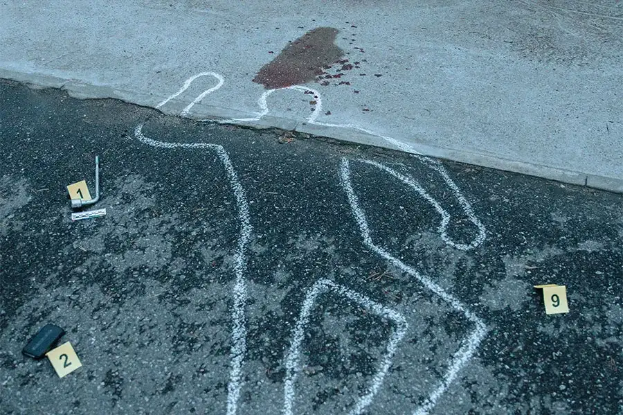 Co robić po kryminalistyce? Zawody, perspektywy i dalsze możliwości rozwoju