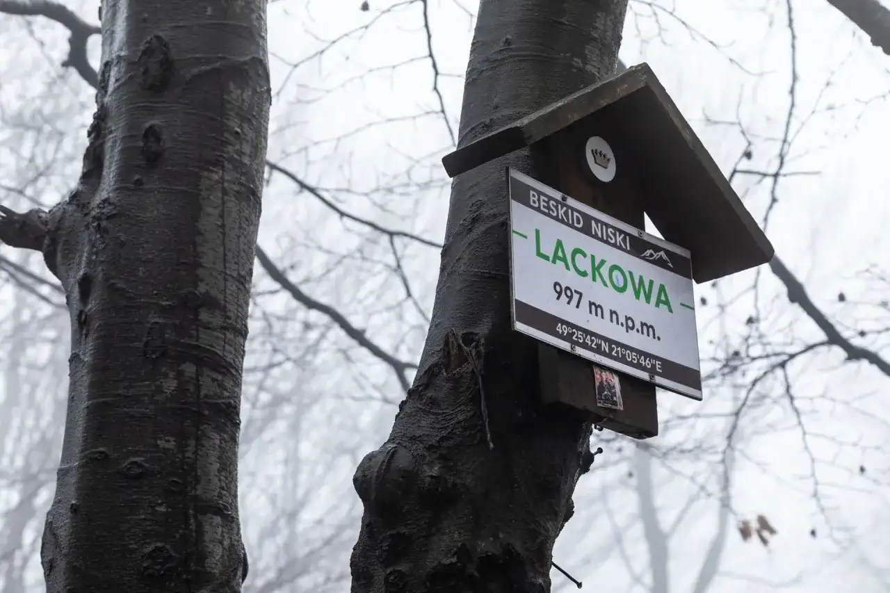 Tabliczka na drzewie w Beskidzie Niskim informuje o szczycie Lackowa (997 m n.p.m.). Mglisty las tworzy atmosferę jak na lackowa ściana płaczu.