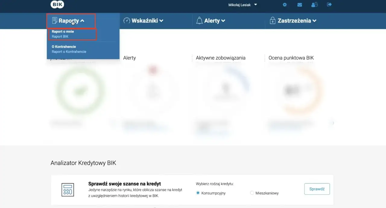Menu "Raporty" z rozwiniętą opcją "Raport BIK".
