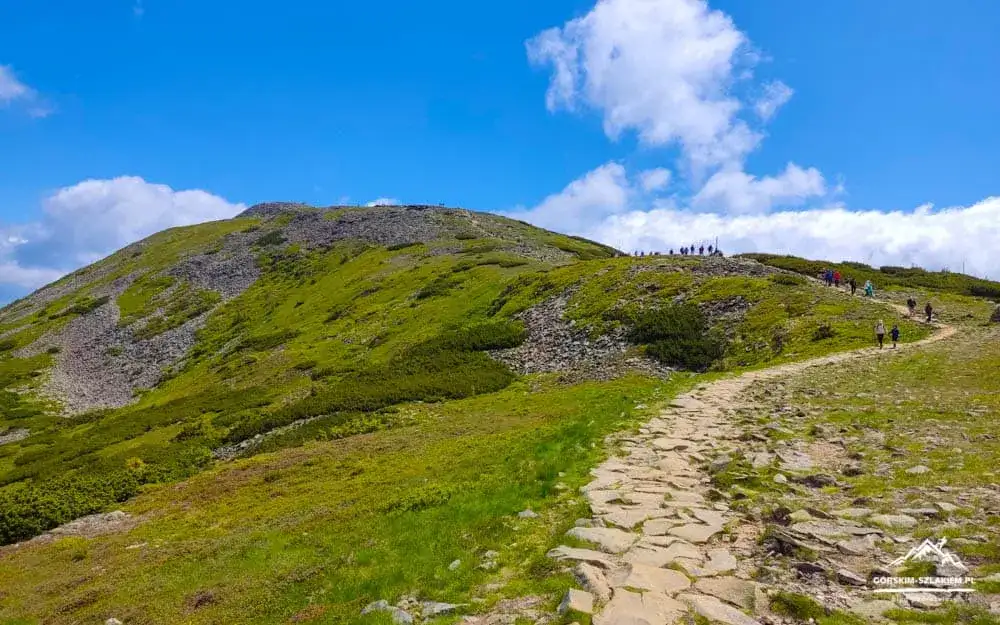 Babia Góra 1725 m n.p.m.: Szlaki, pogoda, bezpieczeństwo. Gotowy na szczyt?