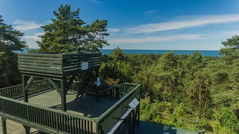 Co zwiedzać w Krynicy Morskiej? Odkryj ukryte atrakcje i miejsca