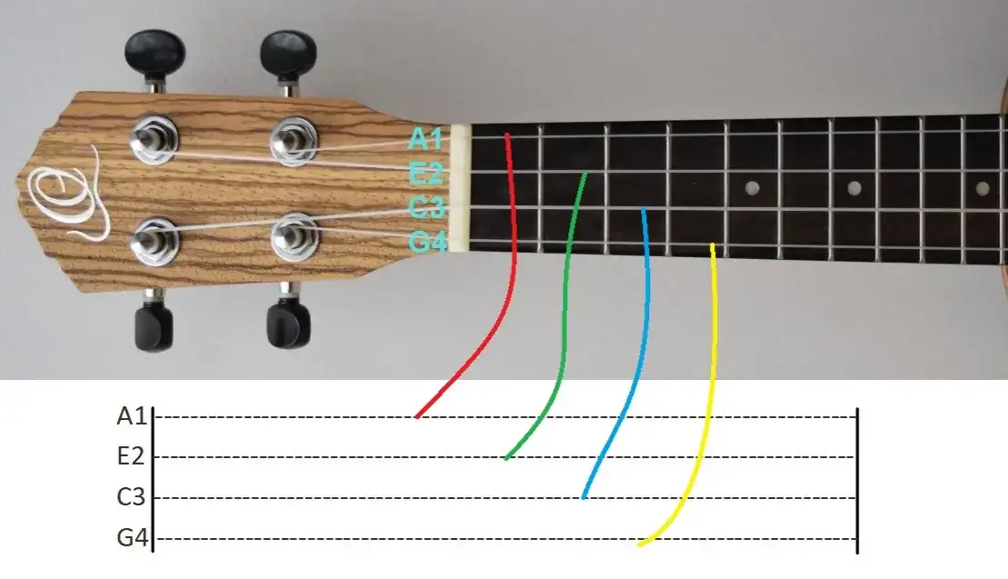 Jak zagrać plastikową biedronkę - chwyty gitarowe krok po kroku