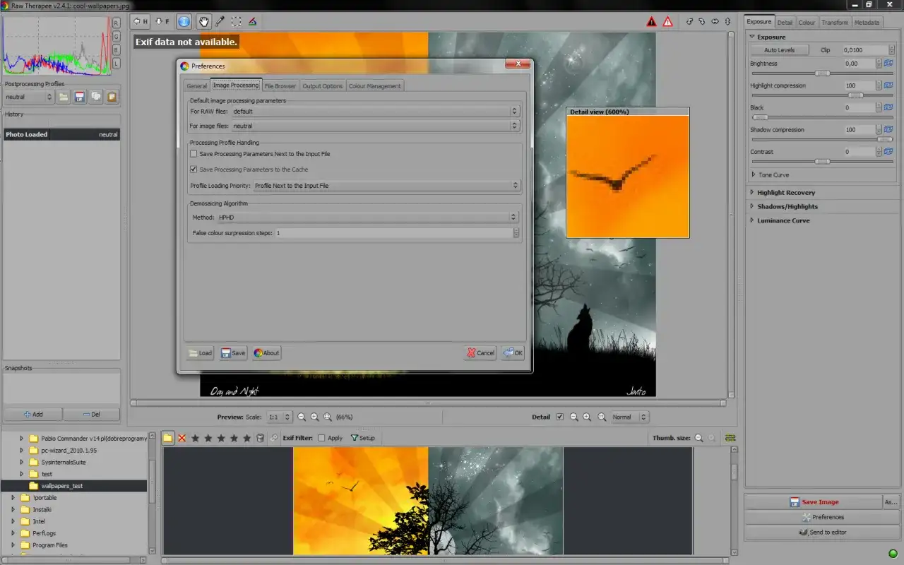 Raw Therapee po polsku: okno preferencji z ustawieniami przetwarzania obrazu, podgląd zdjęcia z wilkiem i detalami.