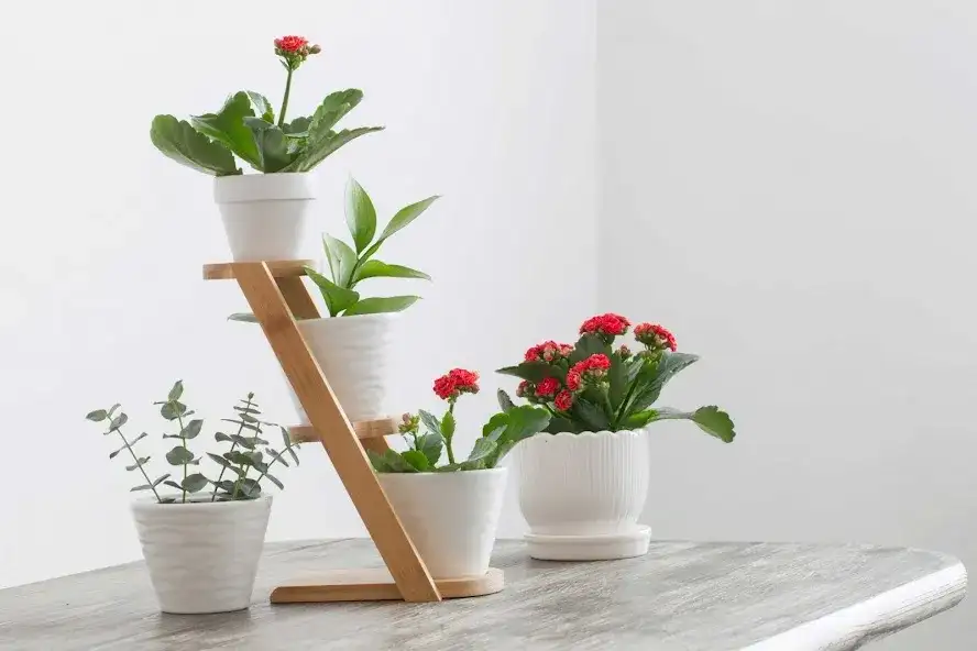 Kwietnik kaskadowy DIY: Praktyczny poradnik krok po kroku