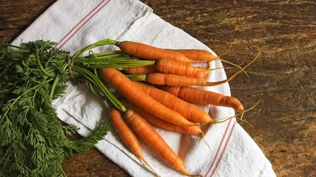 Przyprawa do marchewki po koreańsku - Gdzie ją kupić tanio?