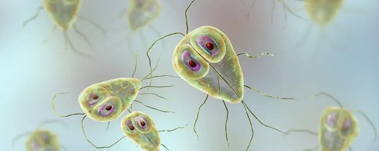 Lamblia objawy psychiczne: jak zakażenie wpływa na Twoje samopoczucie