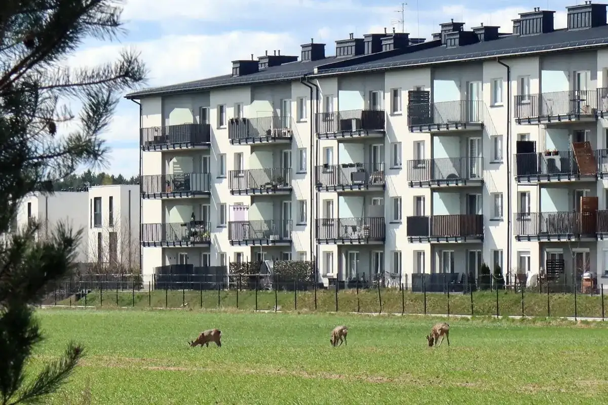 Co to osiedle mieszkaniowe? Definicja, rodzaje, historia i trendy