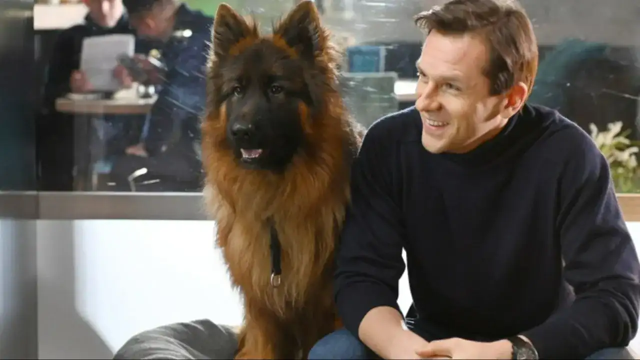 Komisarz Alex obsada: pies i policjant wesoło spędzają czas. W tle widać innych funkcjonariuszy.