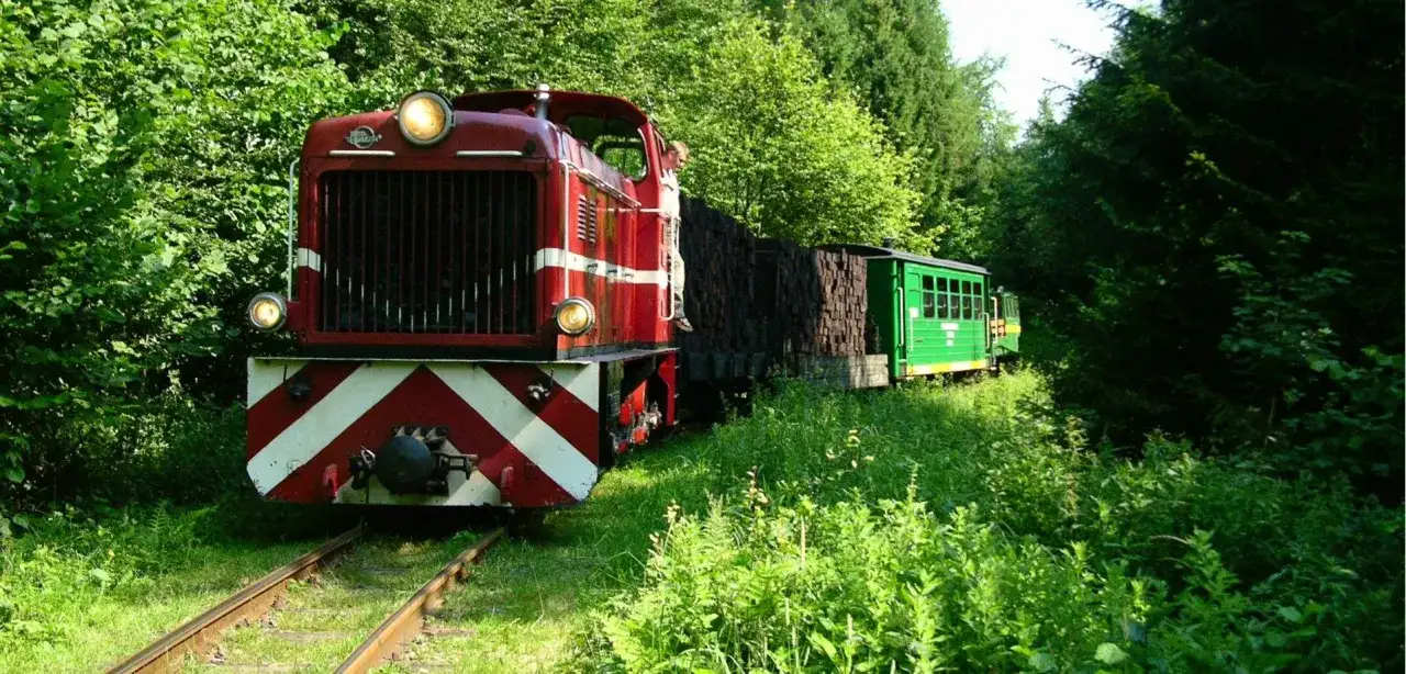 Czerwona lokomotywa i zielony wagonik na szlaku kolejki wąskotorowej, otoczone bujną zielenią.