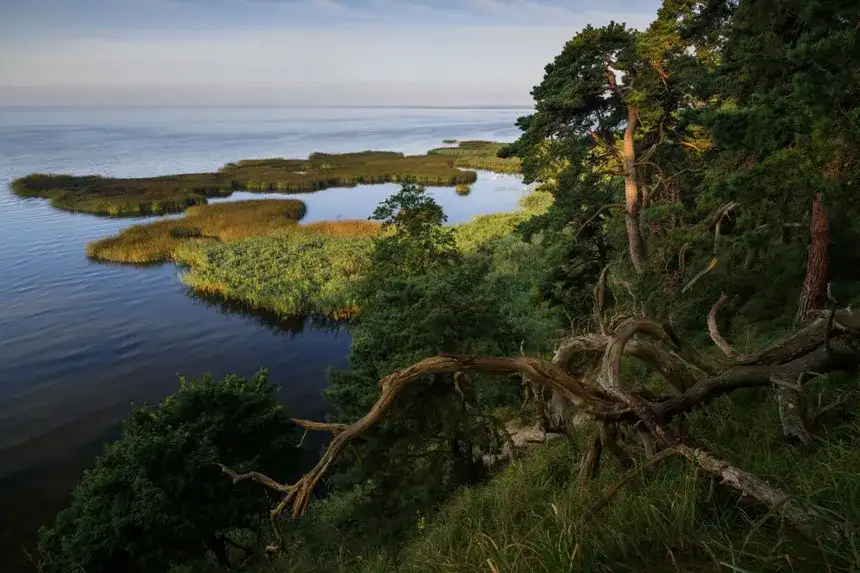 Ile Polska ma wysp na Bałtyku? Zaskakujące fakty o wyspach!