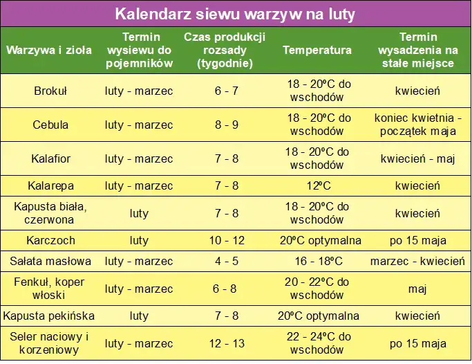 Kiedy siać warzywa do gruntu? Kalendarz siewu dla ogrodników