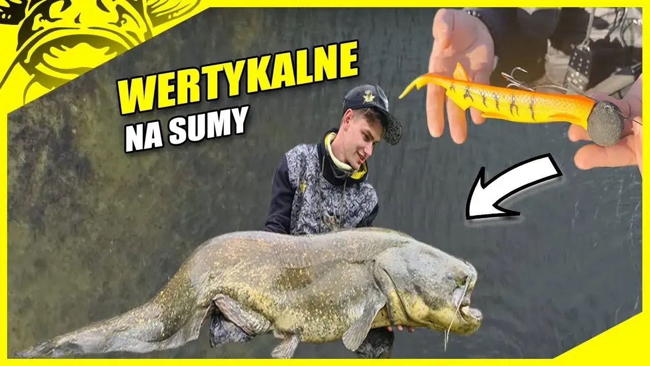 Przynęta na suma: Jak przechytrzyć "wąsatego króla"? Poradnik