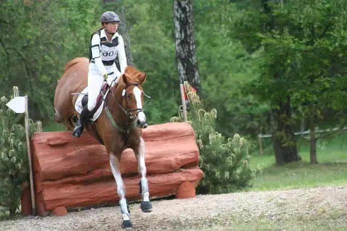 Jeździectwo sportowe: poznaj sekrety dyscyplin i emocjonujących zawodów