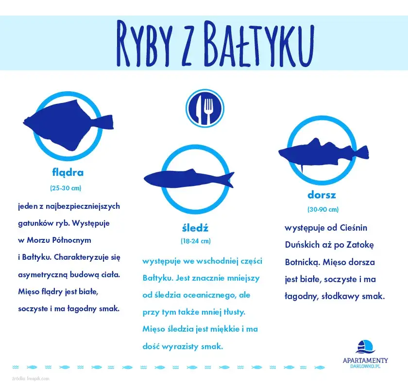 Jak wybrać rybę nad morzem? Świeże gatunki i gdzie je znaleźć