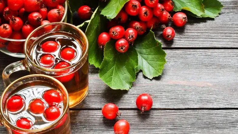 Jakie herbaty na nadciśnienie skutecznie obniżą ciśnienie krwi?