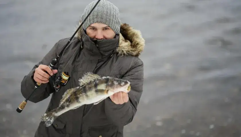 Ryby na spinning: Przewodnik po gatunkach, przynętach i łowiskach