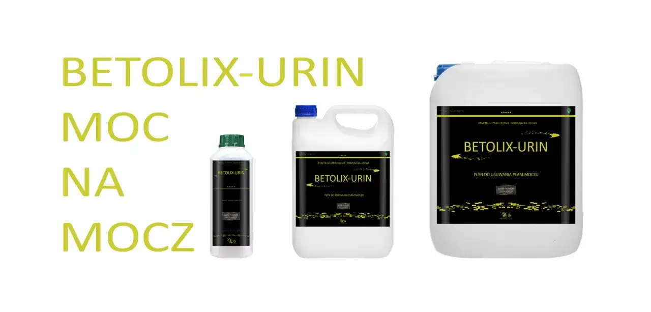 Jak usunąć zapach moczu psa z betonu? Skuteczne metody i porady