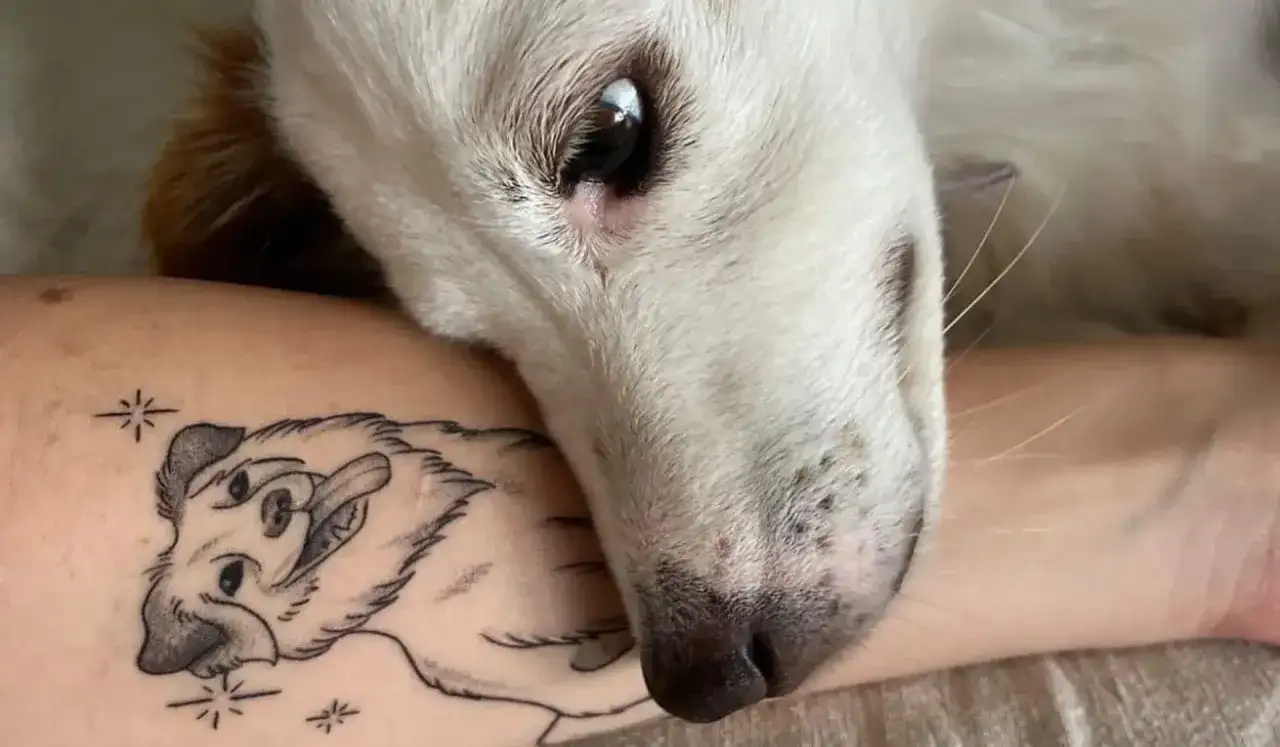 Odkryj moc: symbolika tatuaży ze zwierzętami. Wybierz świadomie!