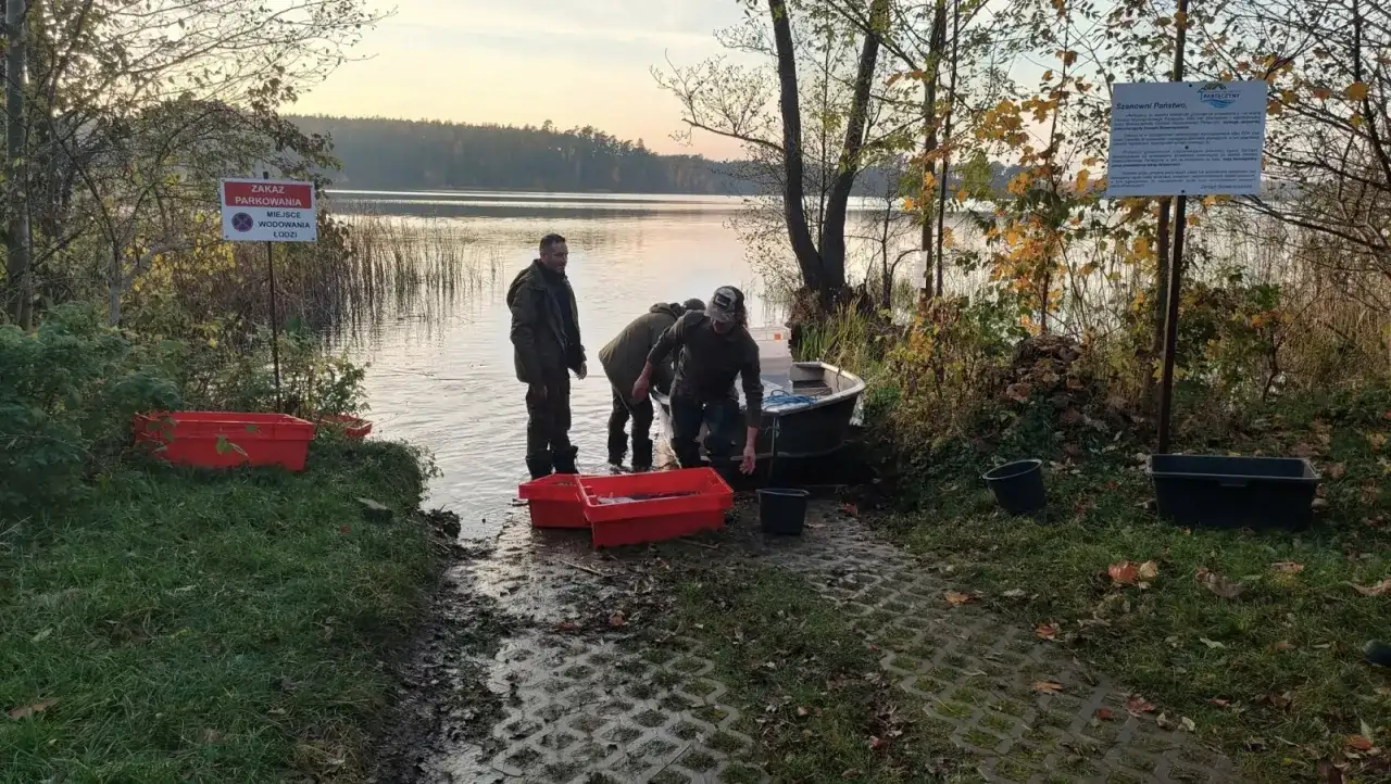Ludzie wyładowują ryby z łodzi do czerwonych pojemników nad jeziorem.