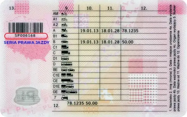 Jak opłacić prawo jazdy online - proste kroki, które musisz znać