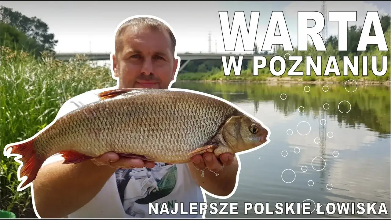 Warta gdzie na ryby: najlepsze miejsca i techniki wędkarskie