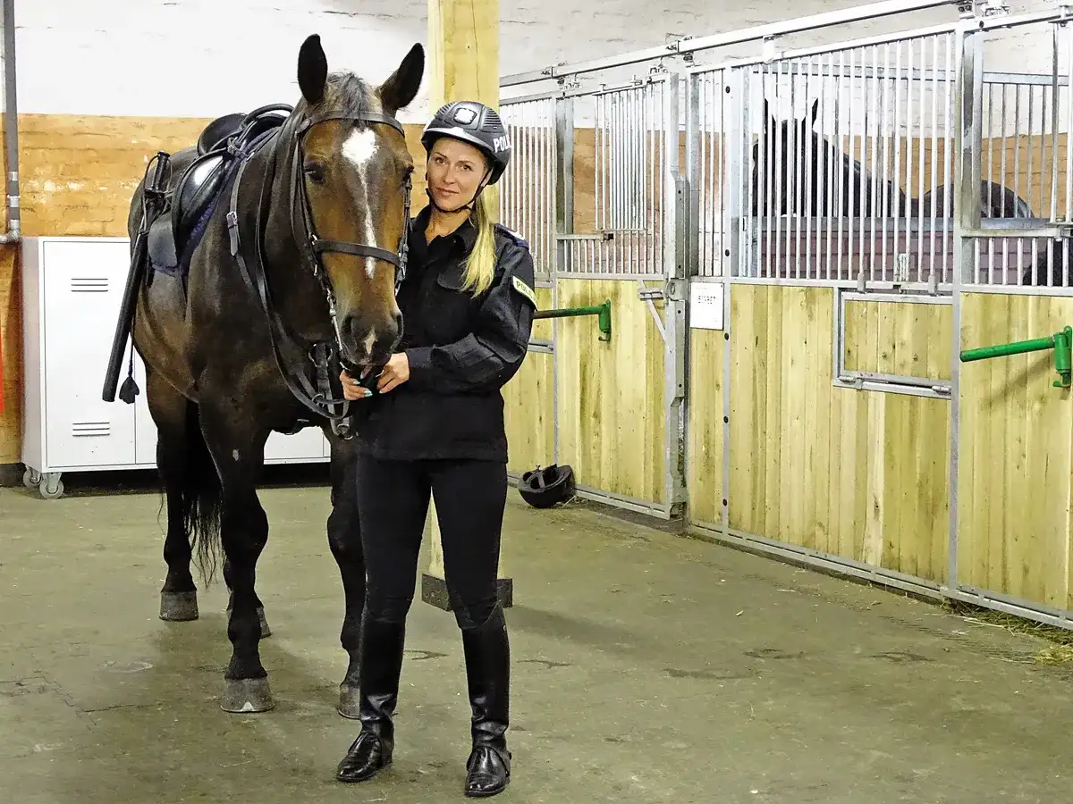 Jak skutecznie dostać się do policji konnej: kompletny proces rekrutacji